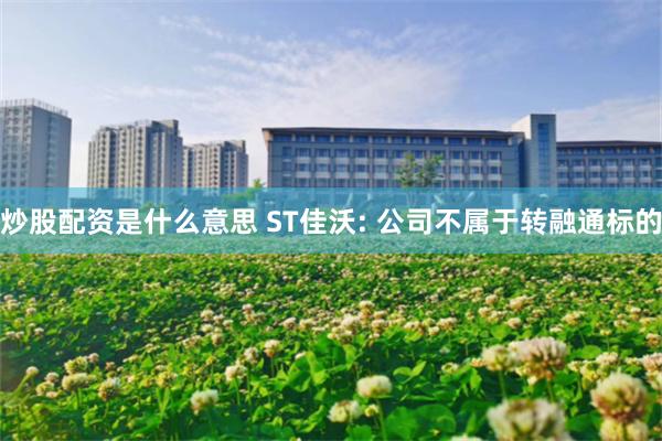 炒股配资是什么意思 ST佳沃: 公司不属于转融通标的