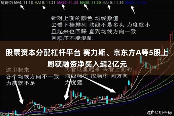 股票资本分配杠杆平台 赛力斯、京东方A等5股上周获融资净买入超2亿元