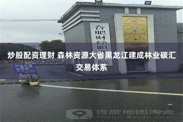 炒股配资理财 森林资源大省黑龙江建成林业碳汇交易体系