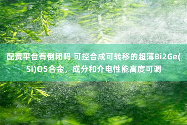 配资平台有倒闭吗 可控合成可转移的超薄Bi2Ge(Si)O5合金，成分和介电性能高度可调