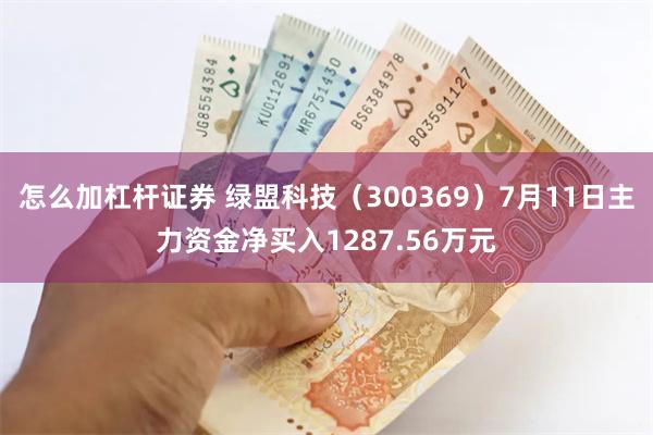 怎么加杠杆证券 绿盟科技（300369）7月11日主力资金净买入1287.56万元