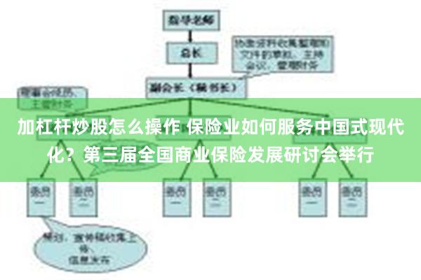 加杠杆炒股怎么操作 保险业如何服务中国式现代化？第三届全国商业保险发展研讨会举行