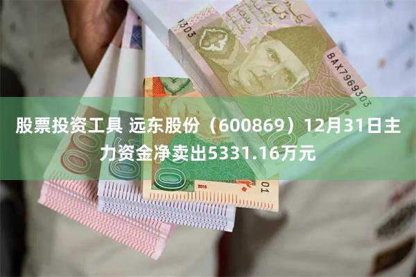 股票投资工具 远东股份（600869）12月31日主力资金净卖出5331.16万元