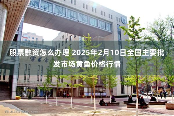 股票融资怎么办理 2025年2月10日全国主要批发市场黄鱼价格行情