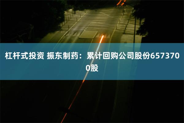 杠杆式投资 振东制药：累计回购公司股份6573700股